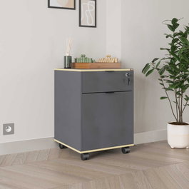 Hanah Home Rkm-311-Ax-1 Armario Multiusos Antracita y Roble